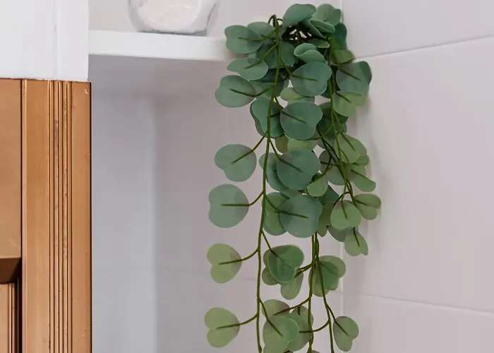 Apartamento Acquaterra *